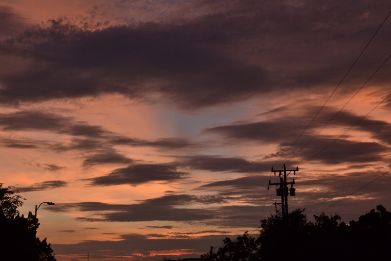 Illustration for article titled Oppo Was Light On Dog Photos Tonight So I Went Outside and Took Some...